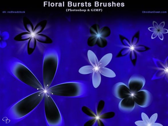 Floral Bursts Photoshop Brushes