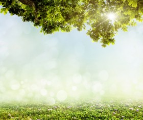 Flower-filled meadow with blurred background sun