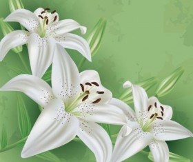 Flower lily with green grunge background vector 01