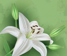 Flower lily with green grunge background vector 02