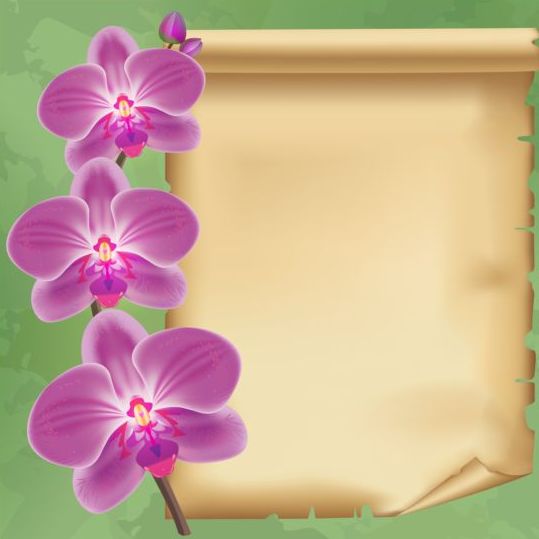 Flower orchid and old paper background vector