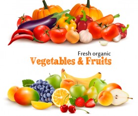 Fresh grganic vegerables and fruits vector