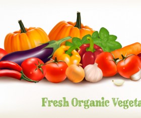 Fresh grganic vegerables vector material 01