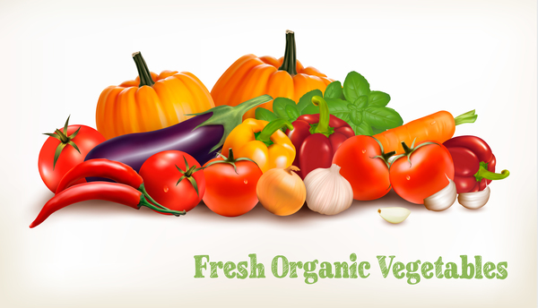 Fresh grganic vegerables vector material 01