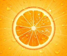 Fresh oranges and juice splashes vector background