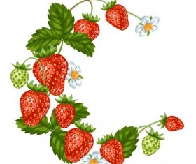 Fresh strawberries background design vectors 03