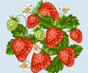 Fresh strawberries background design vectors 04