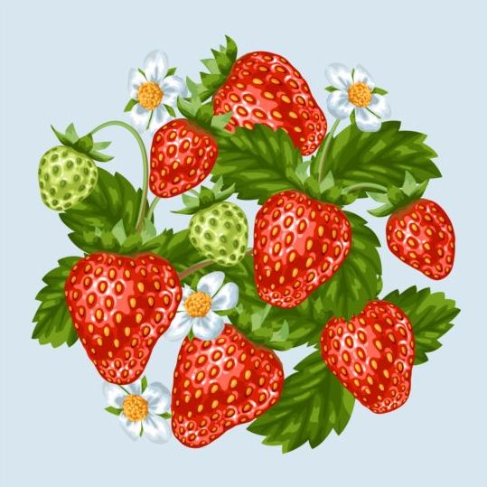 Fresh strawberries background design vectors 04