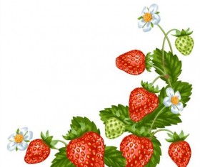 Fresh strawberries background design vectors 05