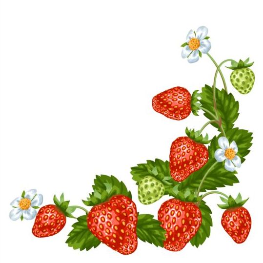 Fresh strawberries background design vectors 05