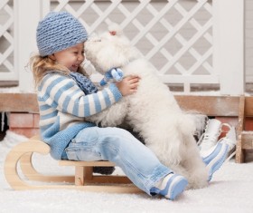 Girl on a sled with a puppy close-up Stock Photo 01
