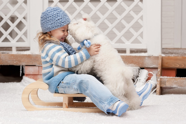 Girl on a sled with a puppy close-up Stock Photo 01