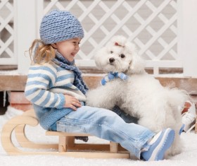 Girl on a sled with a puppy close-up Stock Photo 02