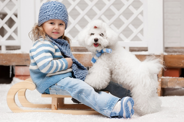 Girl sitting on a sled and white puppy Stock Photo