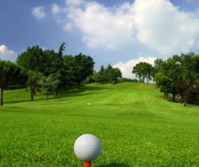 Golf ball on green grass with golf course background 01