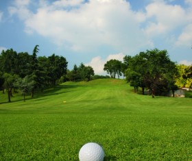 Golf ball on green grass with golf course background 02
