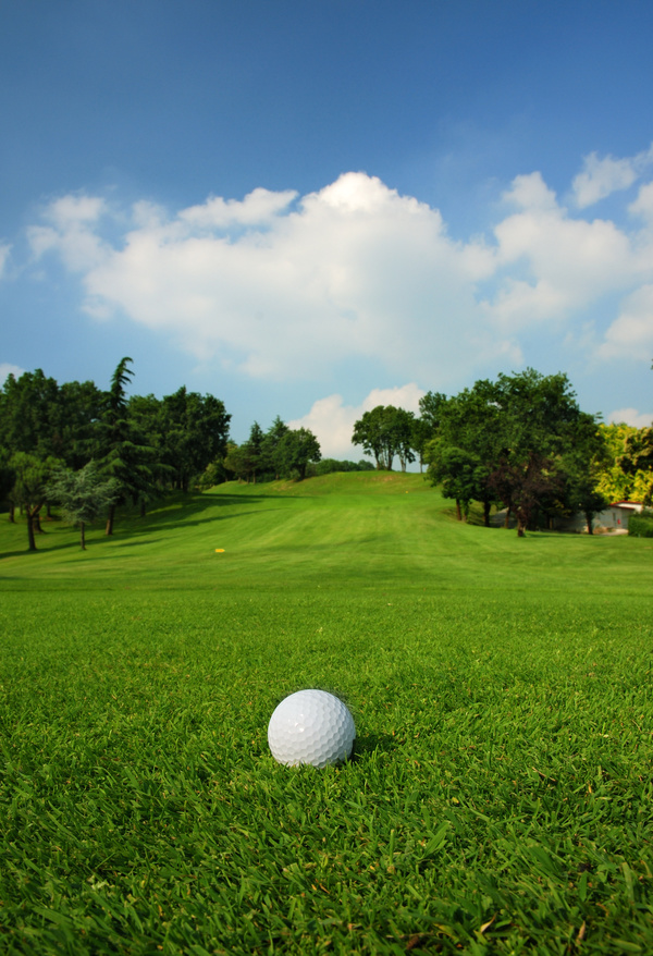 Golf ball on green grass with golf course background 02