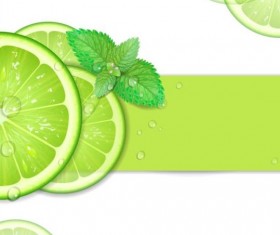 Green Lemon wiht water drop vector