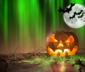 Green background flying bat and pumpkin lights HD picture 01