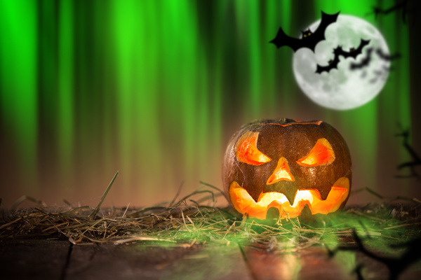Green background flying bat and pumpkin lights HD picture 01