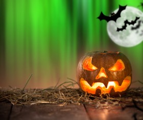 Green background flying bat and pumpkin lights HD picture 02