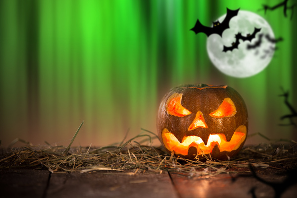 Green background flying bat and pumpkin lights HD picture 02