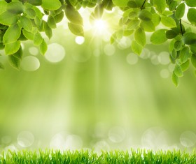 Green meadow with blurred sunny background HD picture