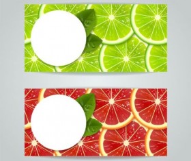 Green with red citrus fruits banners vector