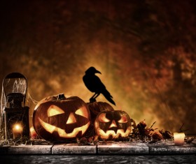 Halloween pumpkin on old wooden table with crows