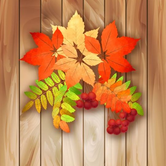 Harvest season with wooden background vector