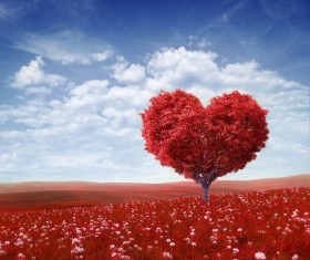 Heart shape tree with red leaves on red flower field