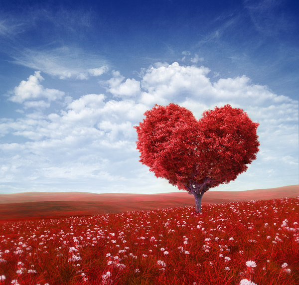 Heart shape tree with red leaves on red flower field