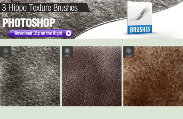 Hippo skin texture photoshop brushes