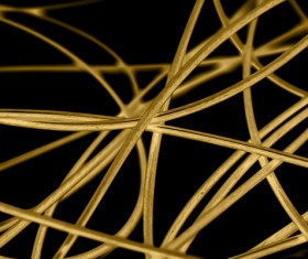Intertwined gold lines and a black background 03