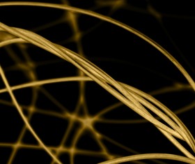 Intertwined gold lines and a black background 06