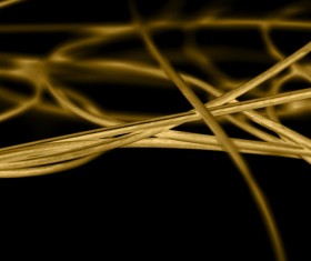 Intertwined gold lines and a black background 07