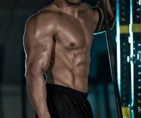 Muscular builders and fitness equipment HD picture