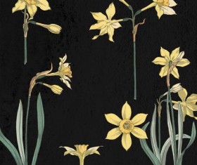 Narcissus PSD material