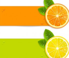 Orange and Lemon vector banners