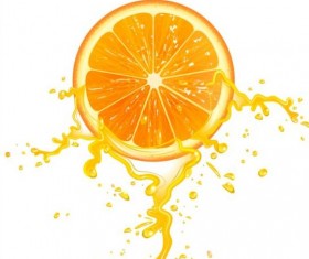 Orange with juice vector material