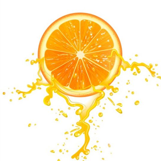 Orange with juice vector material