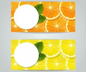 Oranges with lemon slice vector banner
