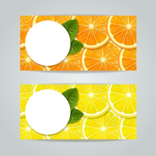 Oranges with lemon slice vector banner