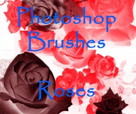 Photoshop brushes rose