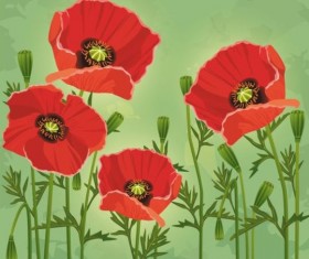 Poppies flower with green grunge background vector