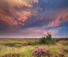 Red Clouds and Prairie Background Stock Photo