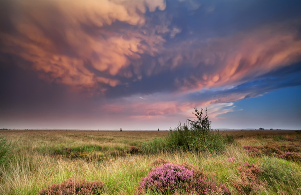 Red Clouds And Prairie Background Stock Photo Free Download