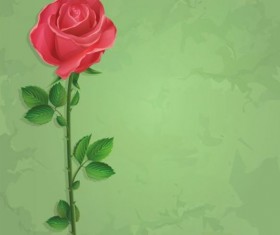 Red rose with green grunge background vector