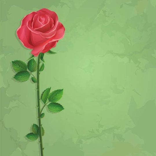 Red rose with green grunge background vector