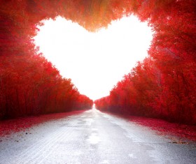 Road with red heart-shaped maple leaf